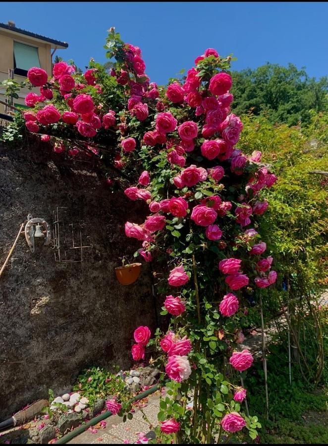 Villa Ca' De Natta Sestri Levante Exterior foto