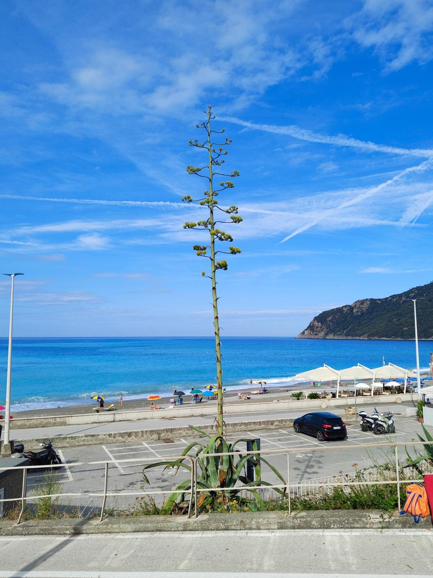 Villa Ca' De Natta Sestri Levante Exterior foto